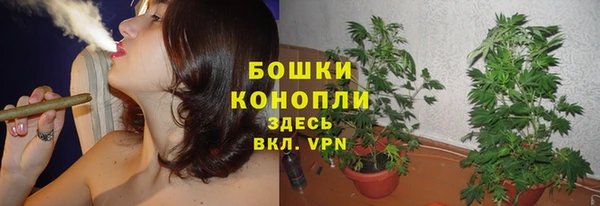 Альфа ПВП Нея