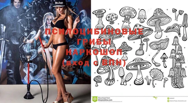 Альфа ПВП Нея